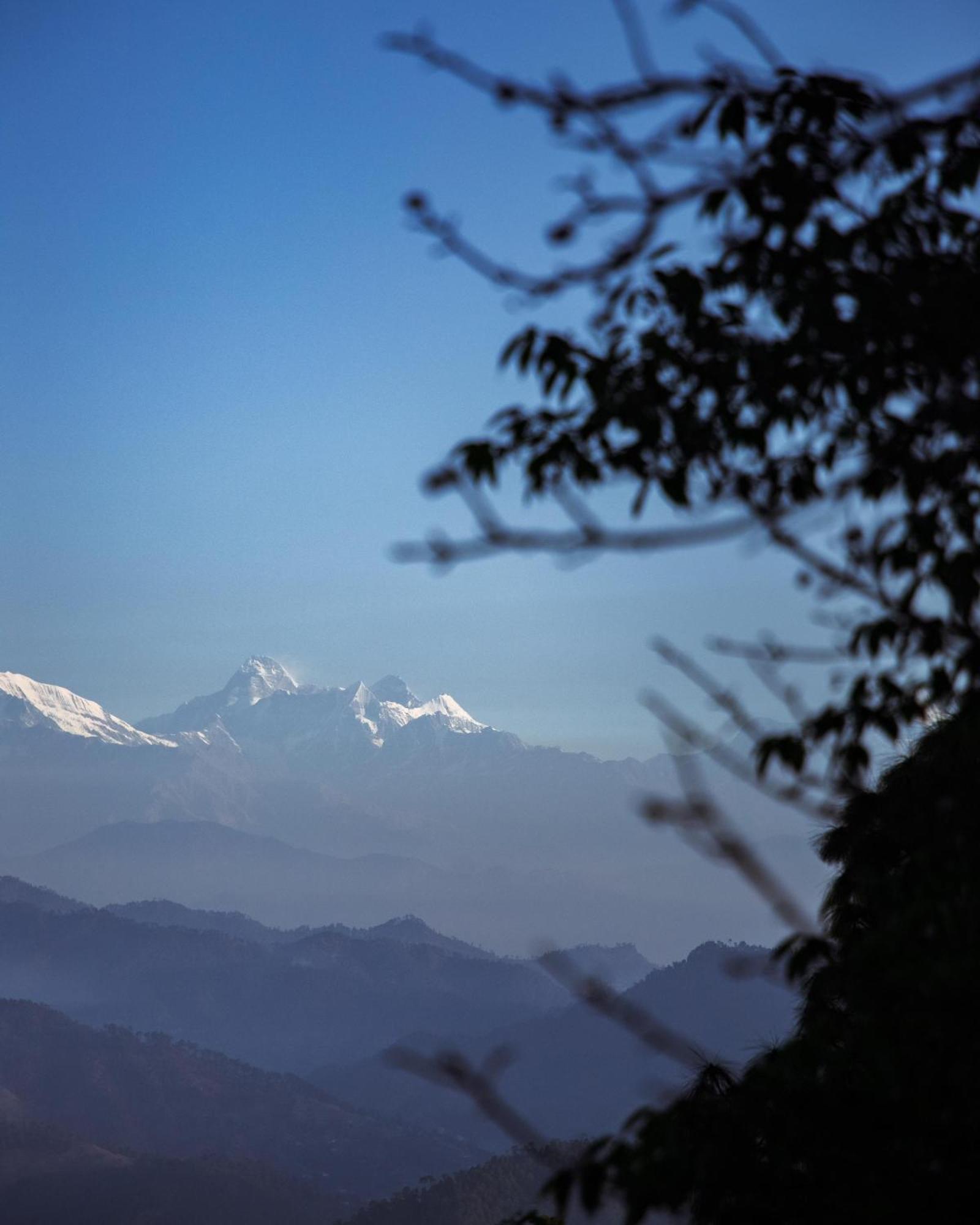 Kasar Himalaya Holiday Resort, Binsar Rd Almora Exteriér fotografie